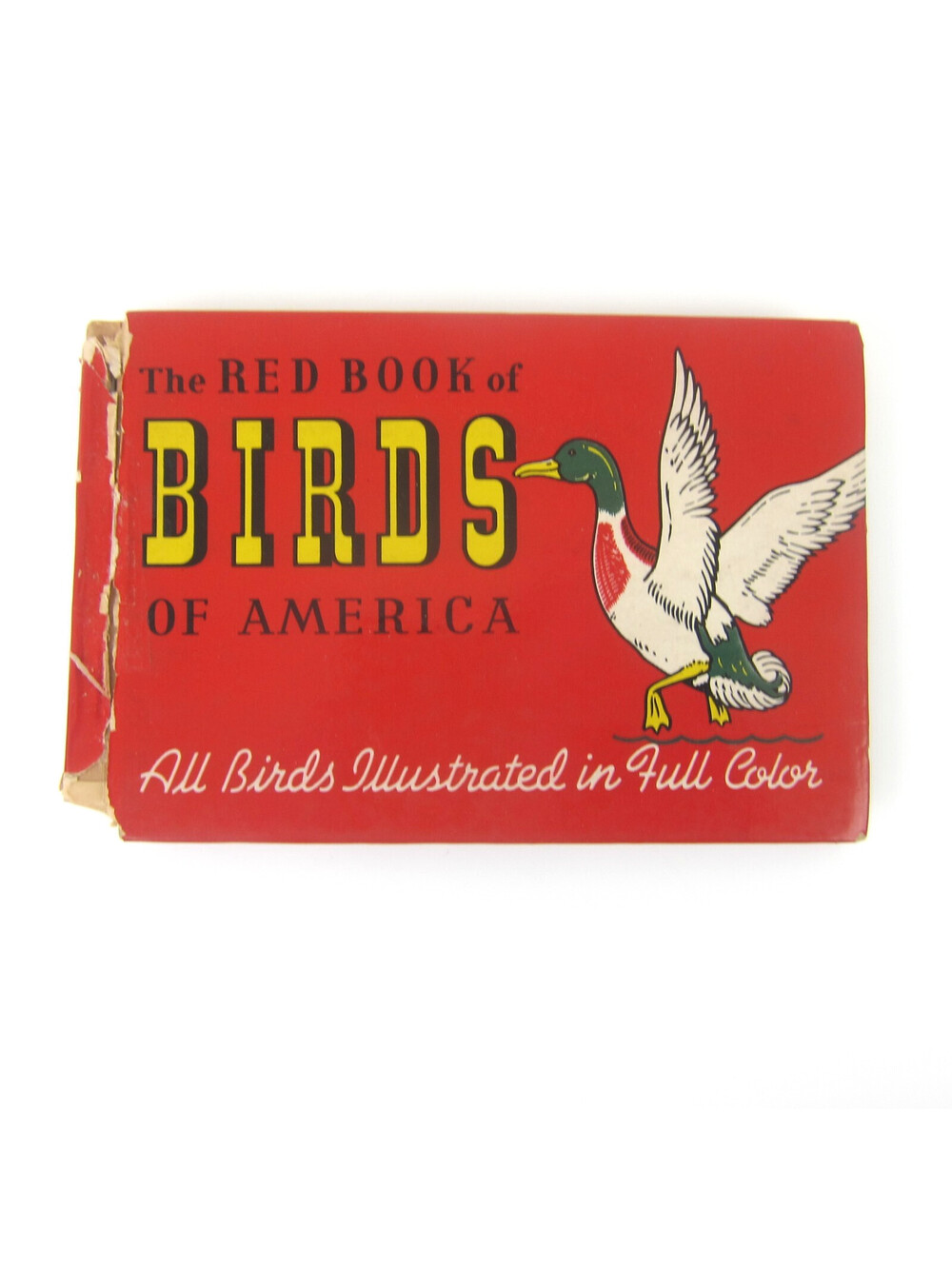 Vintage 1931 The Red Book Of Birds Of America Color Illustrated Hardcover